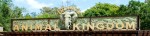 disney's animal kingdom
