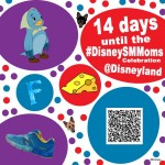14 days till DisneySMMoms Celebration