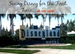 seeing disney through new eyes